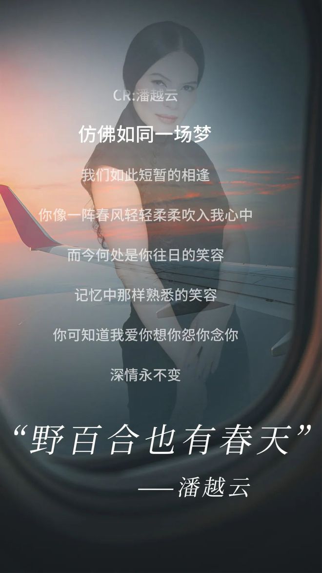 速来三亚阿那亚新春音乐会！蔡琴、齐豫、胡德夫、潘越云、老狼重温时代金曲(图10)