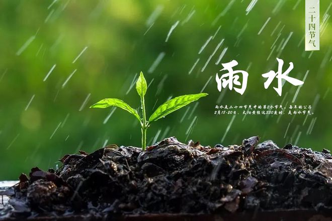 大戏看北京丨雨水节气邂逅民族音乐盛宴开启2025年度音乐新旅程(图5)