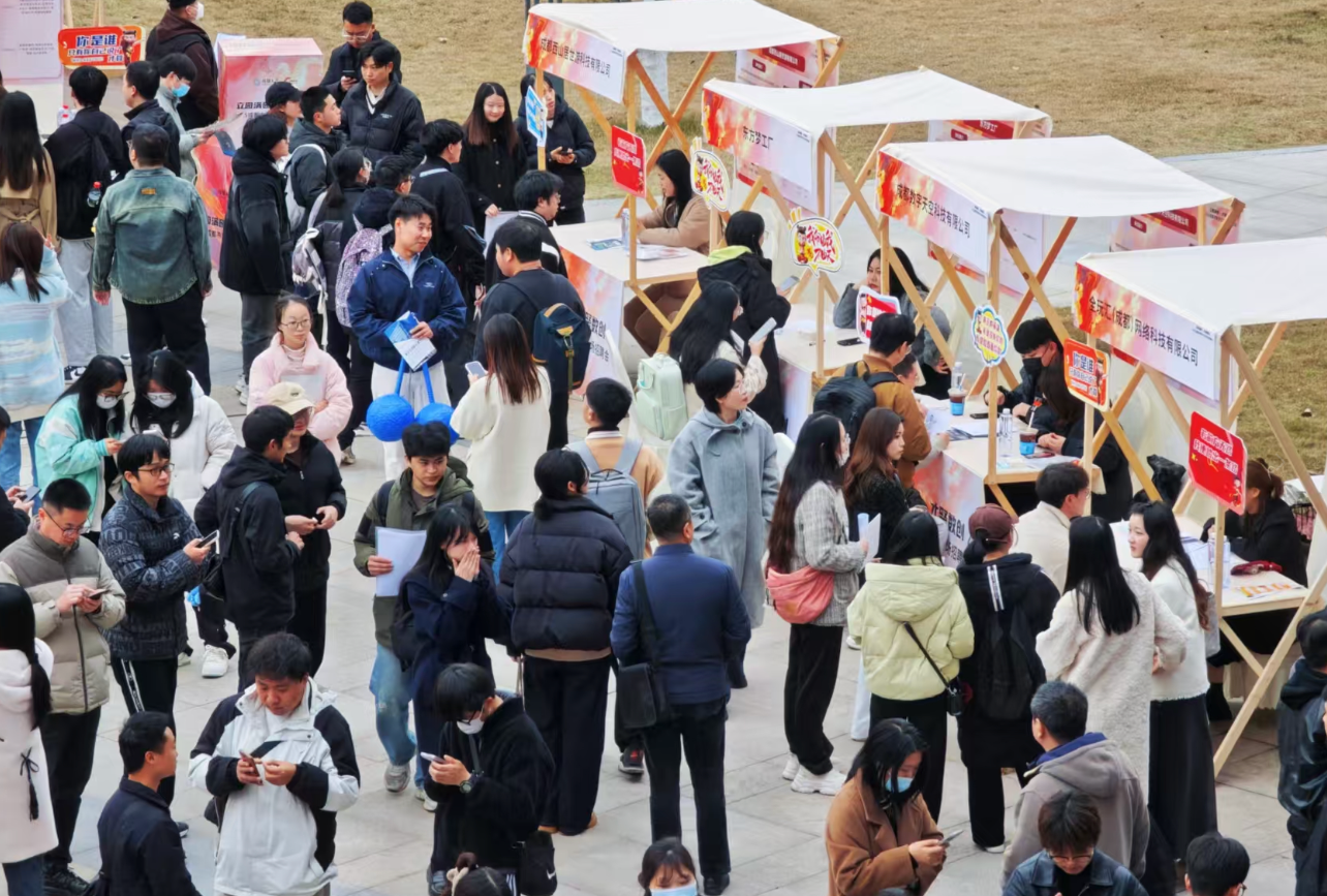 立园满园 人才赋能 成都举办2025首场产业园区人才洽谈对接会(图3)