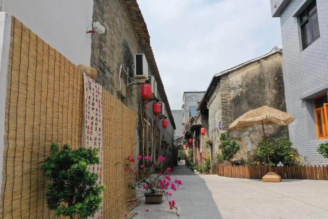 老旧古村变身文学热土“作家村”写出文学赋能“百千万工程”新答卷(图3)