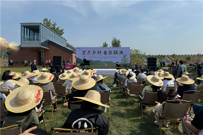 宿州市埇桥区镇头村首届乡村音乐会成功举办(图3)