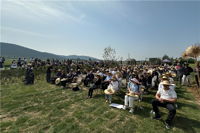 宿州市埇桥区镇头村首届乡村音乐会成功举办(图2)