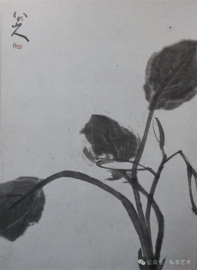 坂本龙一：八大山人的画为我的音乐创作提供了巨大的灵感(图3)