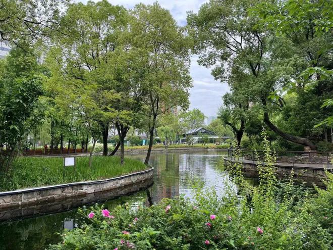 九游app：一位非空间设计师对和平书院的非正常解读(图3)