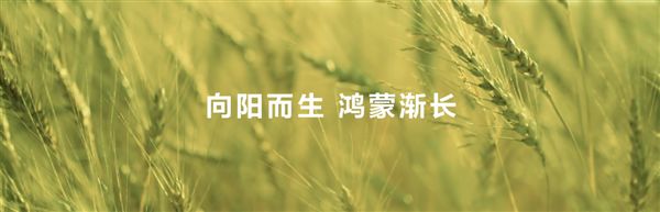 HDC 2025：HarmonyOS技术赋能全场景内容体验 驱动伙伴商业增长(图19)