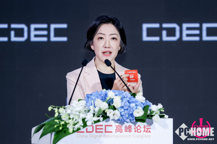 九游app：2025 CDEC高峰论坛圆满召开 探索发展新路径(图7)