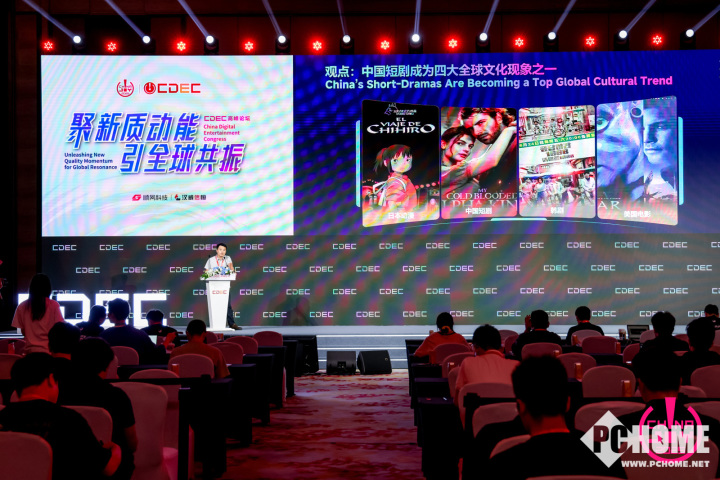 九游app：2025 CDEC高峰论坛圆满召开 探索发展新路径(图14)