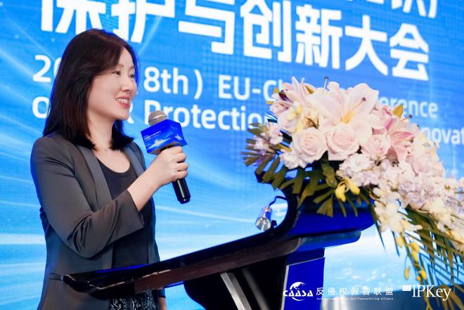 2025(第八届)中欧互联网知识产权保护与创新大会在京成功举办! 共探数字时代知识产权治理新挑战(图10)