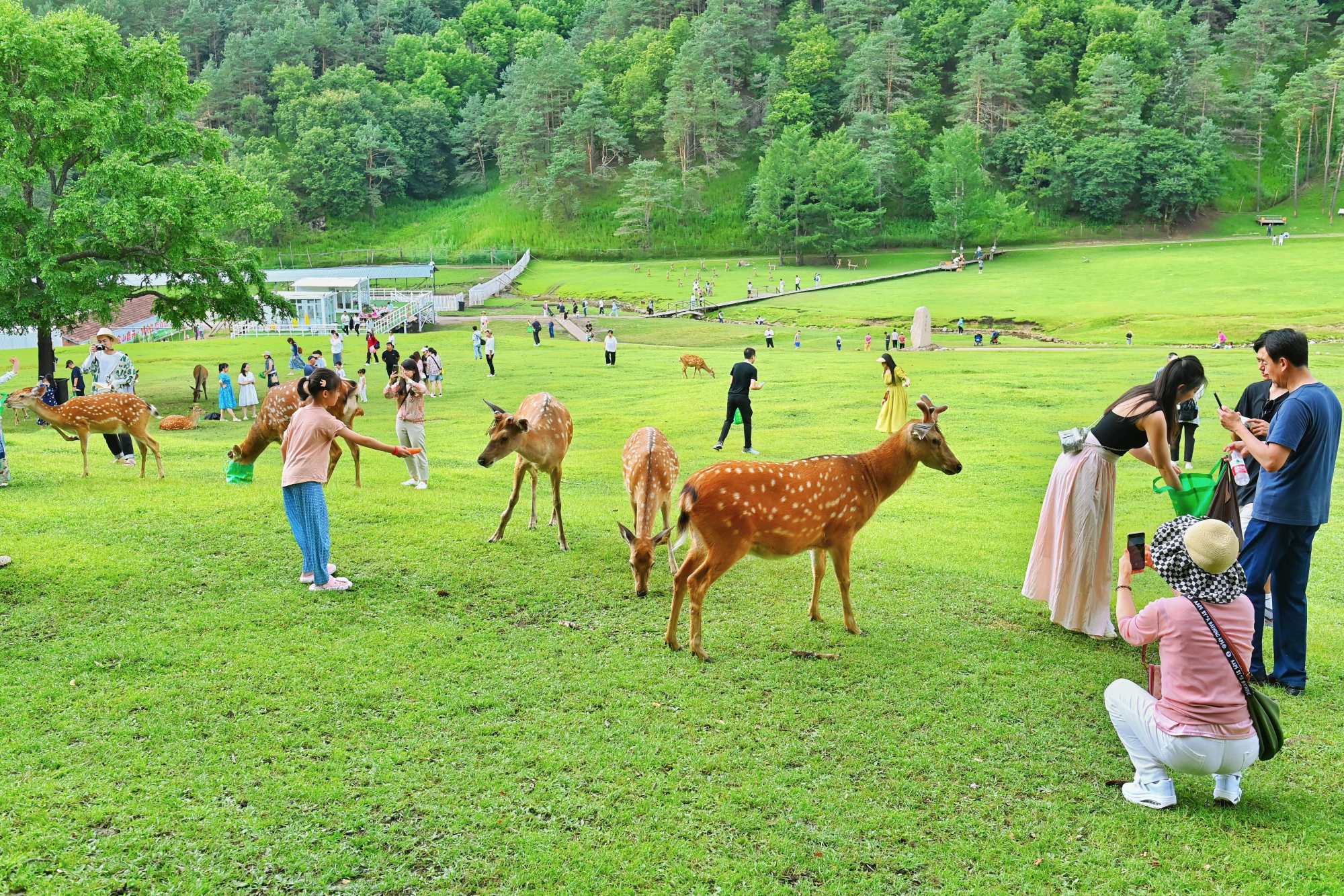 今夏龙江文旅消费新场景全面升级！(图4)