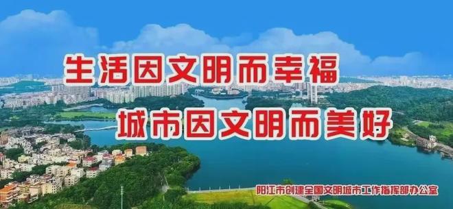 阳江好声音闪耀巴黎！陈建潮斩获2025法国巴黎音乐大赛金奖(图9)